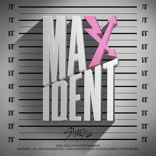 Музичний альбом STRAY KIDS - MAXIDENT 2355981374 фото